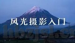 91麻豆国产-难以启齿的红玫瑰——91麻豆国产现象背后