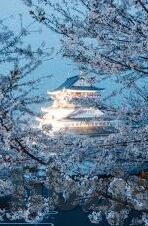 久久AV麻豆网站-深入解码数字时代的娱乐领域——一个复杂的探索