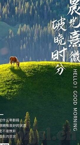 久久久精品国产亚洲av麻豆-