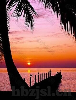 麻豆AV沈樵在线观看-网络迷雾中的警示，理性看待麻豆AV沈樵现象