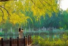 麻豆经纪app官方-紧随潮流，探秘麻豆经纪app的全新时代