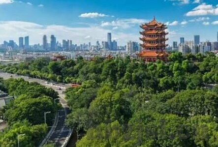 糖心科技app下载安装-解锁智慧生活新姿态——糖心科技App的一站式体验